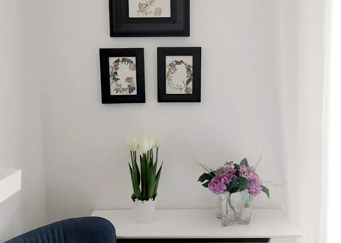 Benvenuti Star * Belgrade